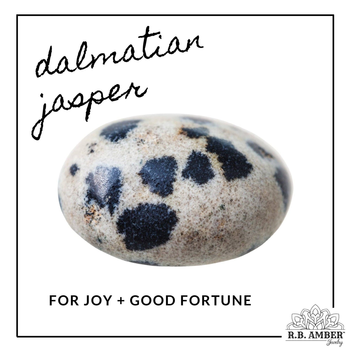 Dalmatian Jasper + Raw Cherry Amber Necklace