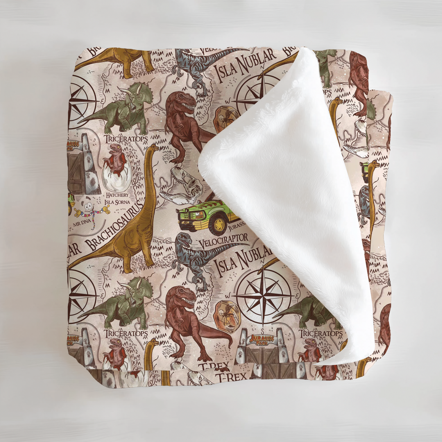 Jurassic Minky Blanket
