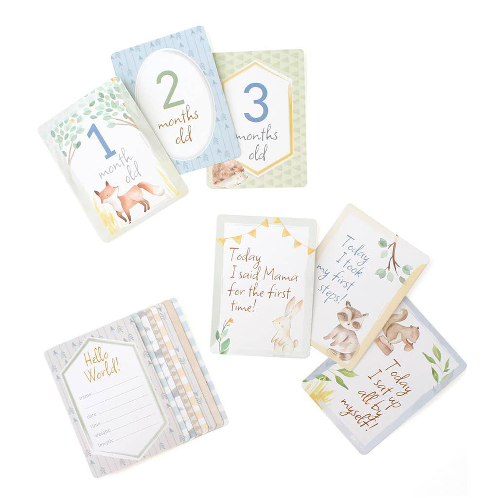 Itzy Ritzy Milestone Cards