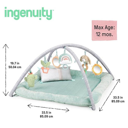 Ingenuity Calm Springs Plush Activity Gym for Baby, Ultra-Soft Premium Mat