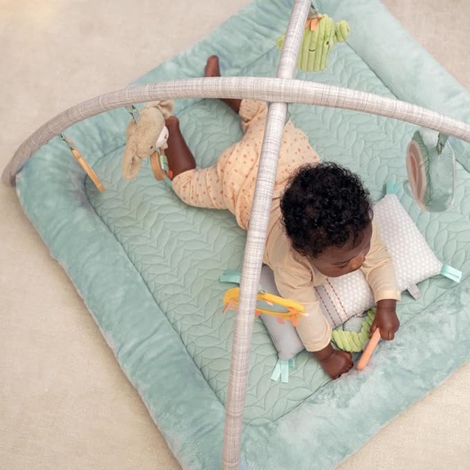 Ingenuity Calm Springs Plush Activity Gym for Baby, Ultra-Soft Premium Mat