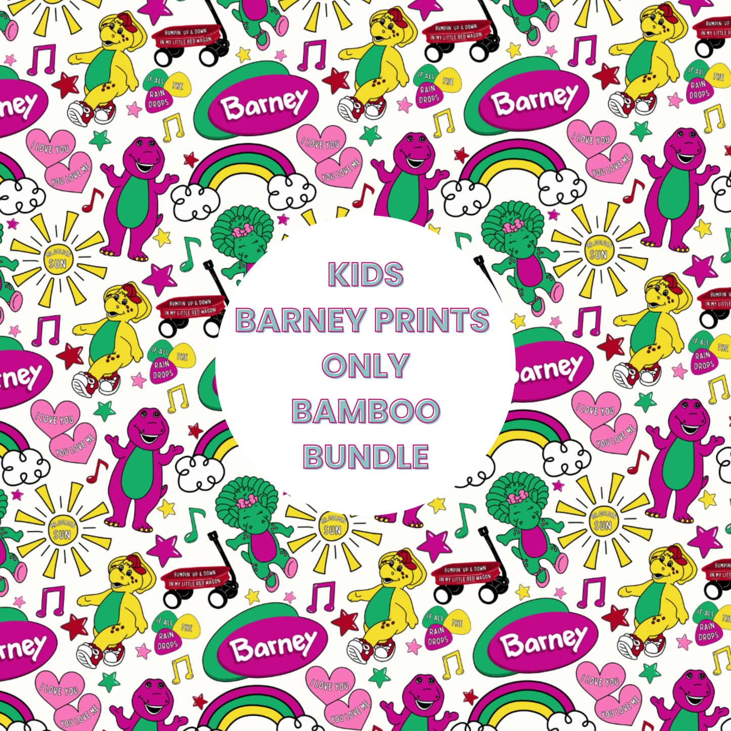 25 Piece Reseller Bamboo Bundles BARNEY Prints ONLY  - Children's Items