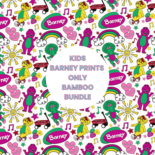25 Piece Reseller Bamboo Bundles BARNEY Prints ONLY  - Children's Items