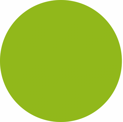 Solid Bright Green Youth Bamboo Joggers