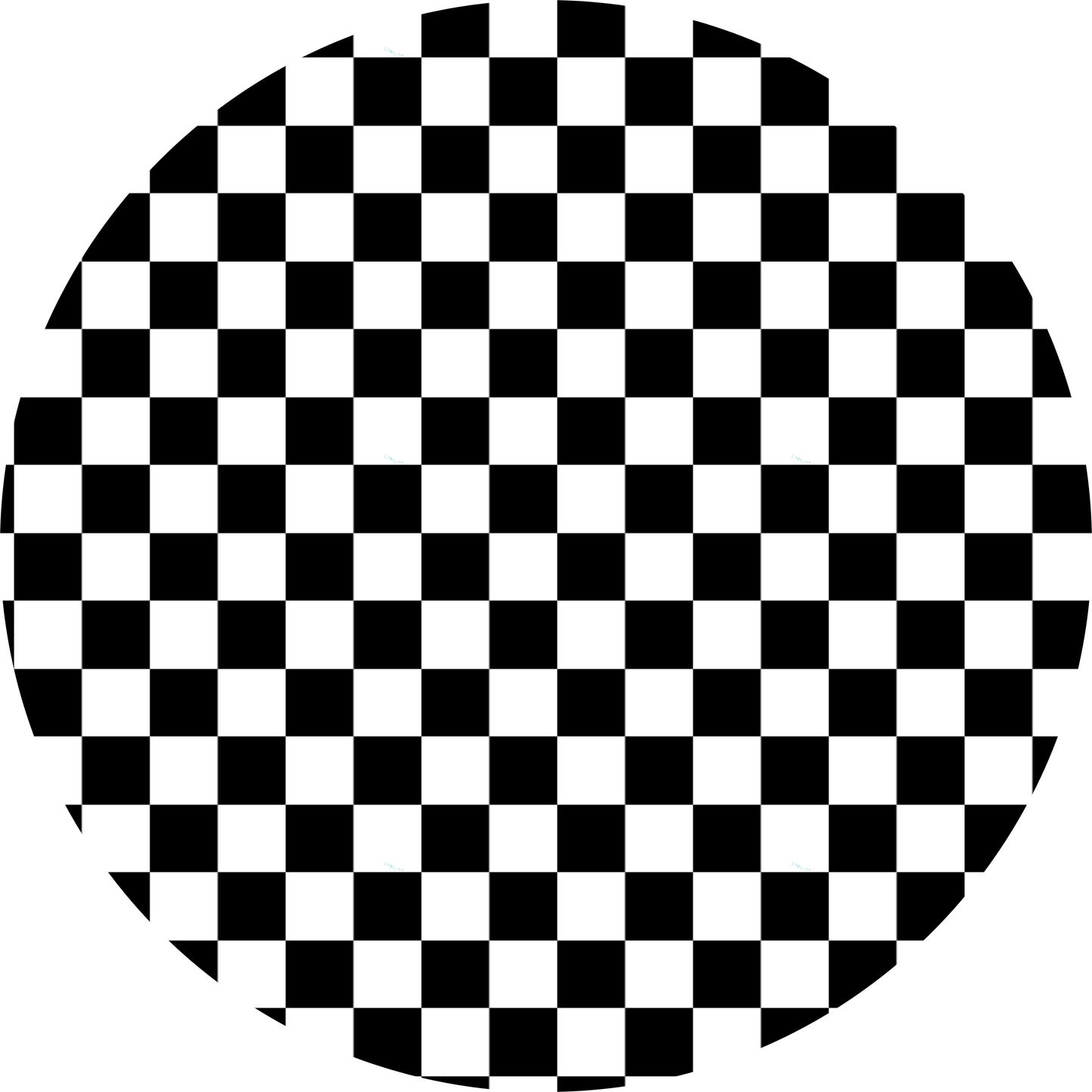 Checker Print Minky Plush Blanket From Judith Arthur